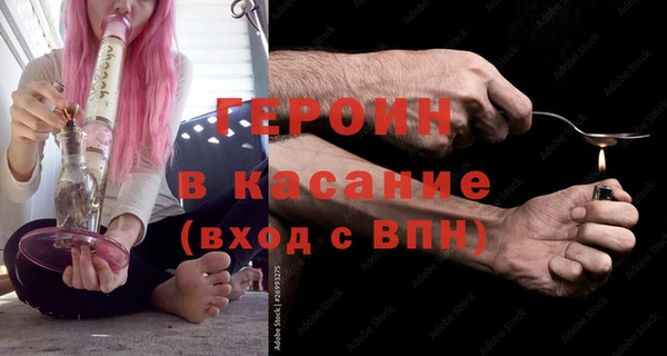 гашик Алексин