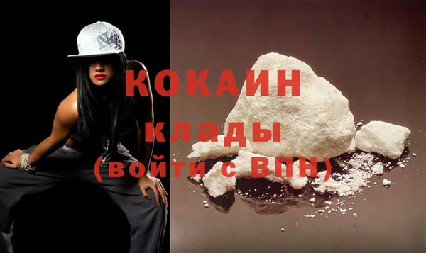 соль ск Абаза