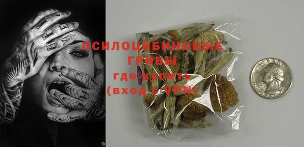 ECSTASY Алзамай