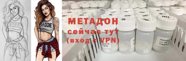 гашик Алексин