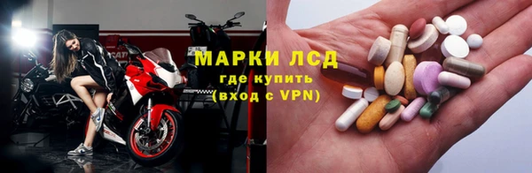 ECSTASY Алзамай