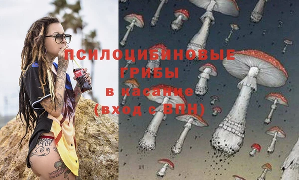 гашик Алексин