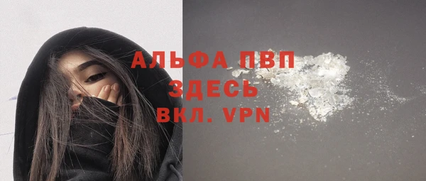 гашик Алексин