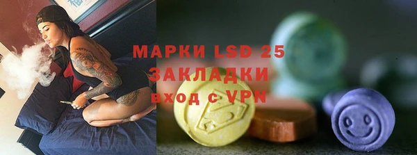 гашик Алексин