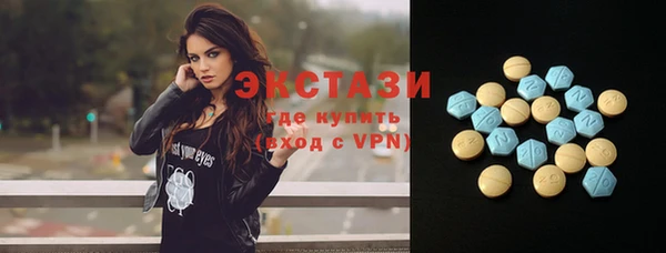 ECSTASY Алзамай
