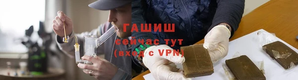 гашик Алексин