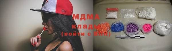 гашик Алексин