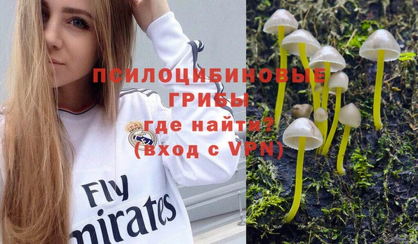 гашик Алексин