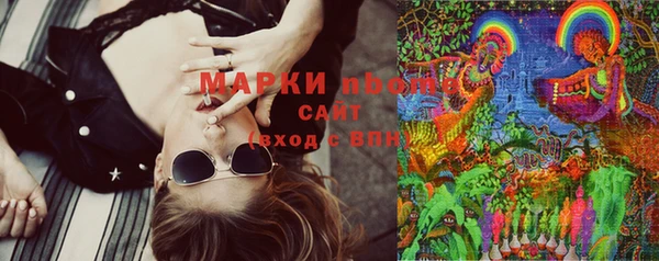 гашик Алексин