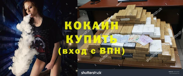 ECSTASY Алзамай