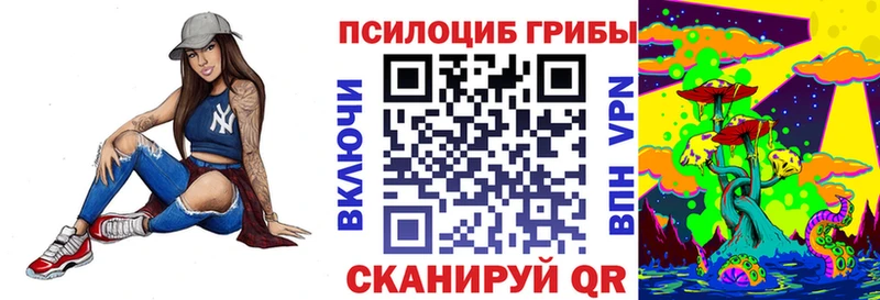 Галлюциногенные грибы Psilocybine cubensis Ковдор